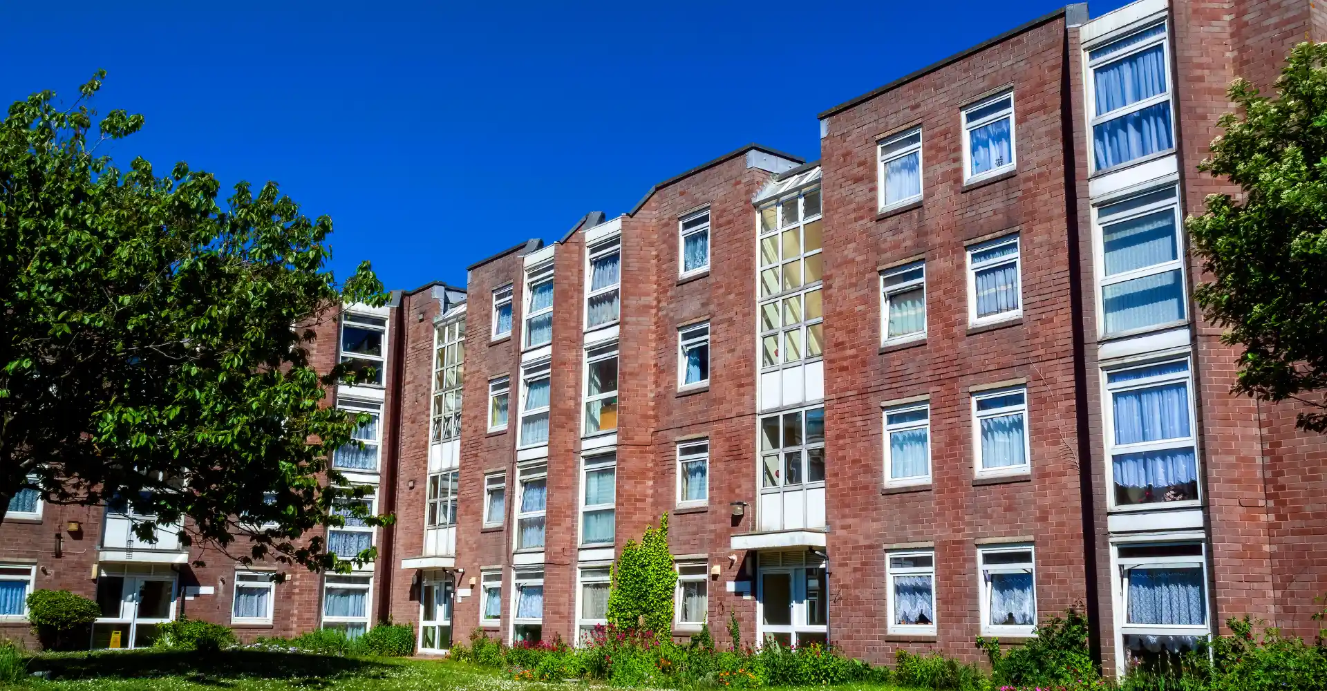 addressing-damp-and-mould-in-social-housing